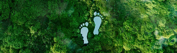 Blockchain Pioneering Green Practices: Validating and Tracking Carbon Footprint on the Public Ledger